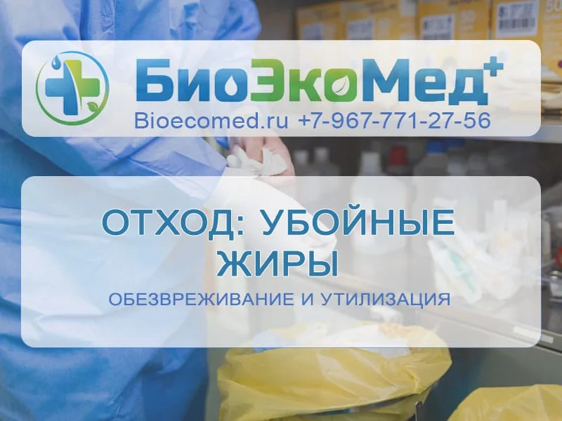 Отход: убойные жиры
